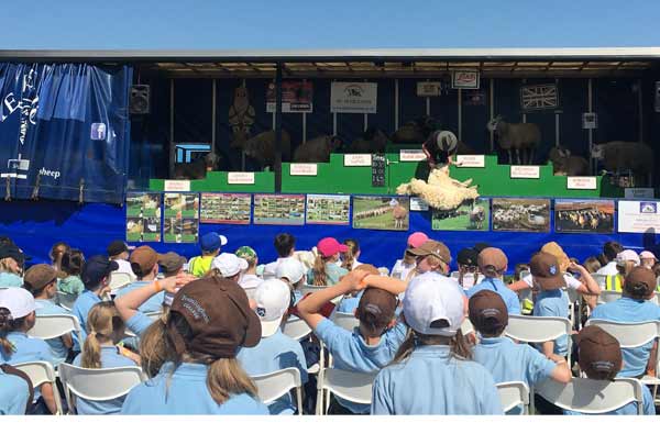 Year 3 and 4 Trip to the Annual School Farm and Country Fair