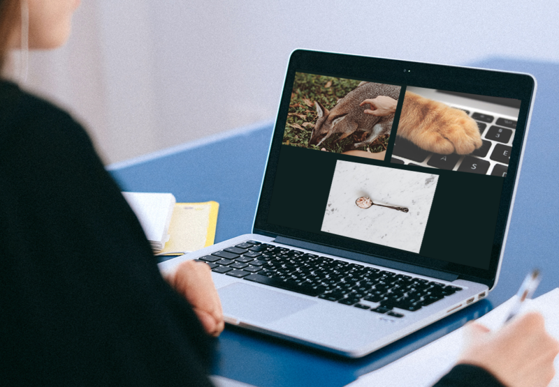 Pets on Zoom: Teachers tell us some of the most unusual props used in remote lessons