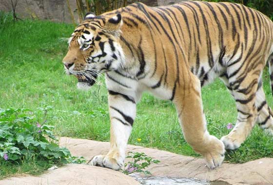 Biologists enjoy workshops at Colchester Zoo