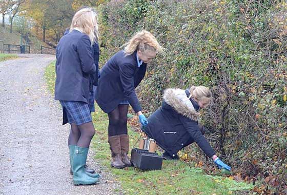 Year 9 Mammal Workshop