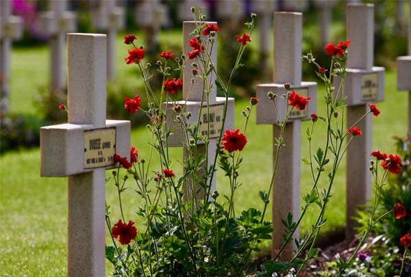 SOF Ypres Memorial Service