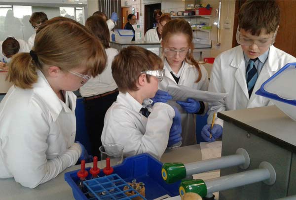 Third place at the Salter’s Chemistry Festival for our Year 7 team