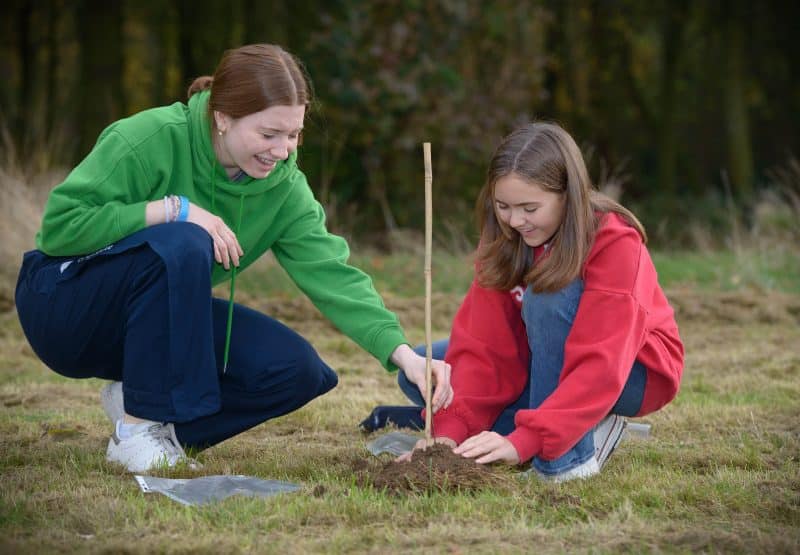 King’s Wood enhances College environmental credentials