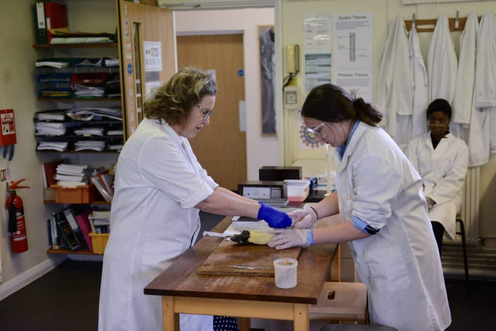 Biology Week at Framlingham College