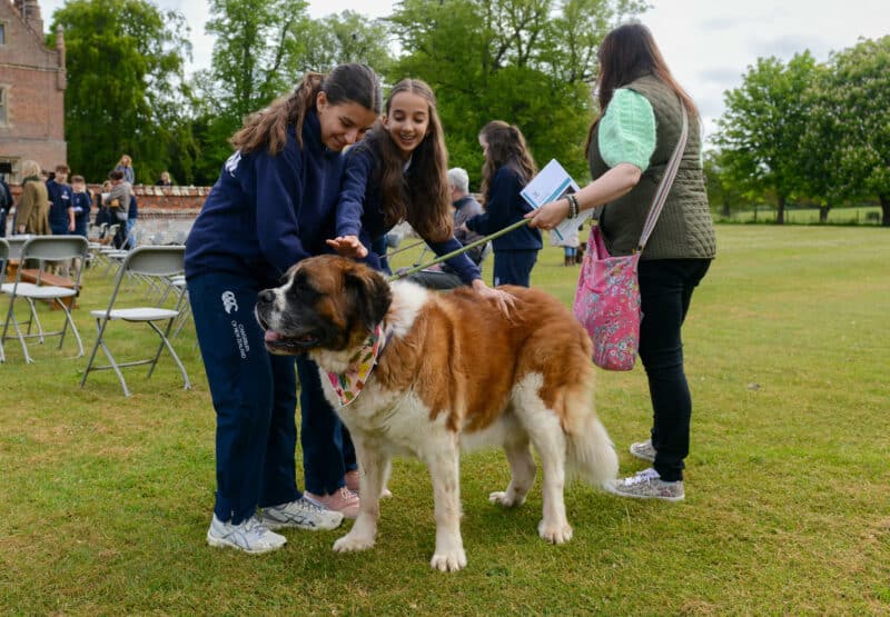 Framlingham College Prep School hosts Pet Blessing ceremony