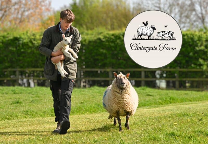 Framlingham College pupil launches sustainable farm business
